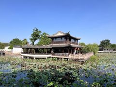 -尚湖风景区