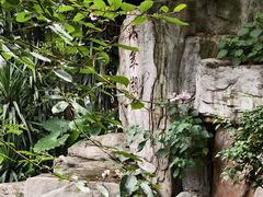 -荔湾湖公园