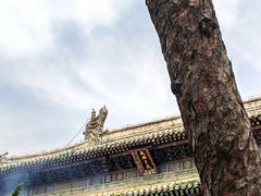 -潭柘寺景区