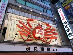 -蟹道乐(道顿堀本店)