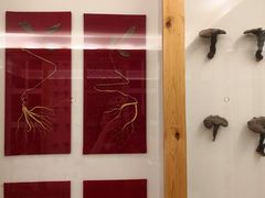 -纽斯洗浴SPA(三墩店)