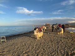 -青海湖国家重点风景名胜区