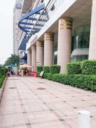 -厦门市妇幼保健院(总院区)