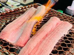 鲜活鳗鱼-奉座泥炉烤肉·活鳗·稻草黄油鸡(龙美店)