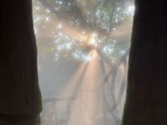-青青世界
