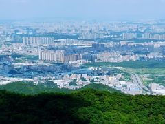-东莞市大岭山森林公园
