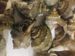 -常家活海鲜小吃(仅一家无分店)