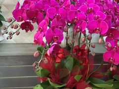 -亭亭鲜花店(中山北路店)