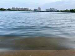 -桐乡凤凰湖