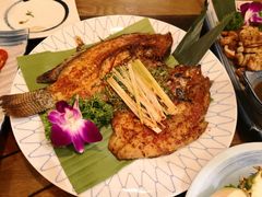 -紫滇源云南生态菜(丹凤街店)
