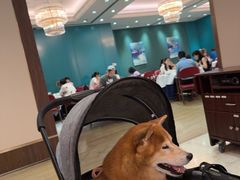 -翠园(广州太古汇店)