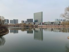 -大兴滨河森林公园