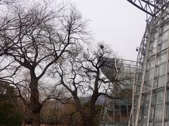 -北京植物园-展览温室