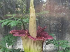 -北京植物园-展览温室