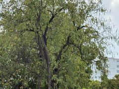 -广州市纺织服装职业学校