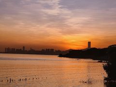 -深圳湾公园(南山区)