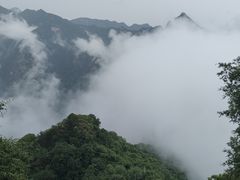 -少华山国家森林公园