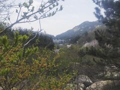 -崂山巨峰游览区