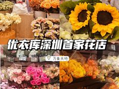 -优衣库(深圳万象天地旗舰店)