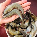 在家也能做出铁板烧基围虾～ 