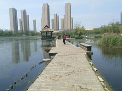 -前关湿地公园