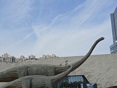 -安徽省地质博物馆