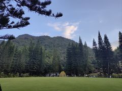 -深圳仙湖植物园