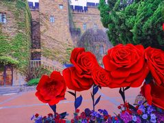 -青岛方特梦幻王国