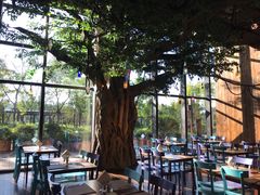 -杭州开元森泊度假乐园