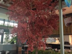 -拈菜(观音桥阳光世纪店)