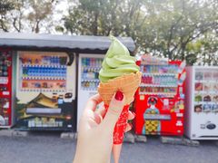 -豆政(金閣寺境内売店)