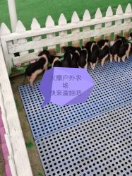 -萌宠亲子动物乐园(槐房万达店)