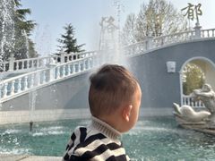 -洛阳郁金香牡丹园