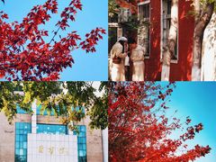 -辽宁大学(崇山校区)