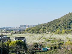 -树山生态村