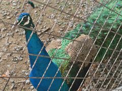 -祥源·阜阳生态乐园