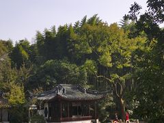 -汇龙潭