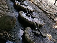 -成都市活水公园