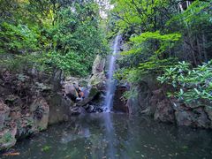 -莫干山风景区