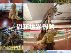 -诸城市恐龙博物馆