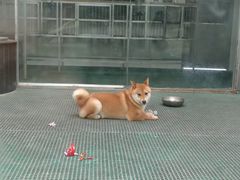 -南昌动物园