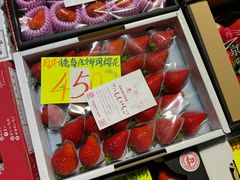 -油麻地果栏