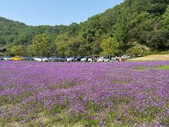 -南北湖风景区