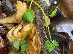 -鑫鸿达·海鲜闽菜热炒小馆(中山路店)