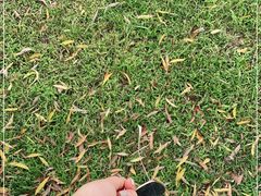 -野鸭湖国家湿地公园