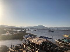 -北岐滩涂