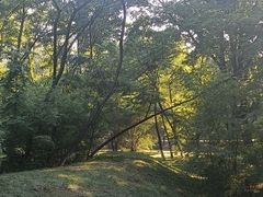 -长白岛森林公园