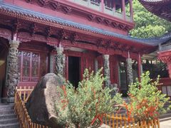 -玉苍山国家森林公园
