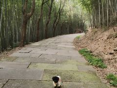-达蓬山旅游度假区