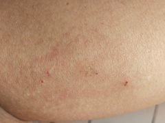 -李先生牛肉面(长春红旗街店)